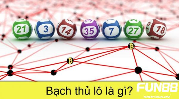Bạch thủ lô là gì?
