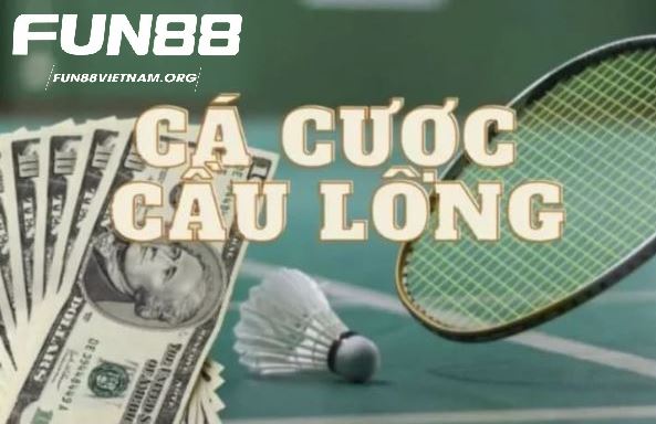 Những kèo cá cược cấu lông hấp dẫn