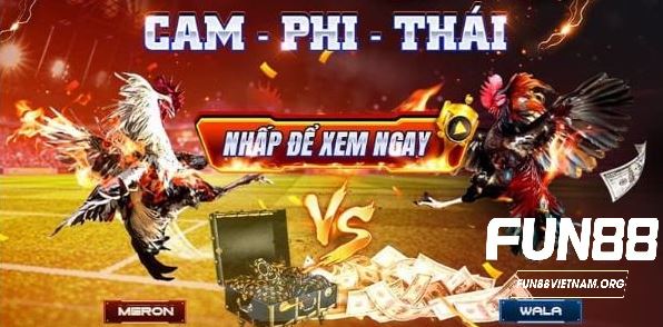 Cá cược Đá gà Fun88 có mức thưởng cao